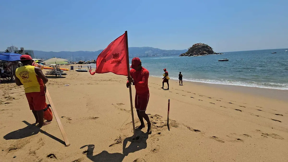 WhatsApp Image 2026-03-10 at 1.11.42 PM