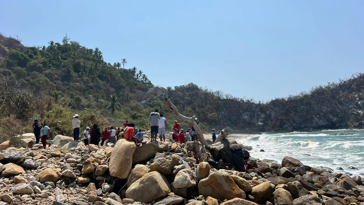 WhatsApp Image 2026-03-11 at 12.03.48 PM