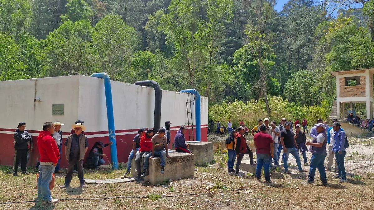 WhatsApp Image 2026-03-11 at 7.33.55 PM