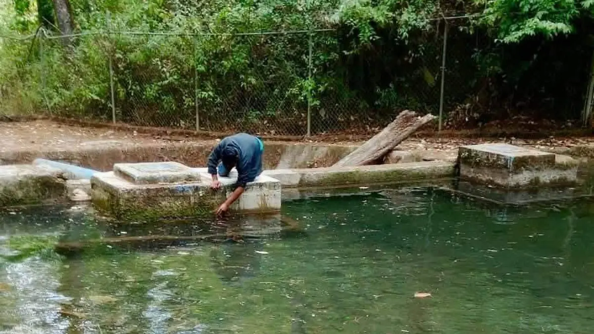 WhatsApp Image 2026-03-13 at 3.34.59 PM