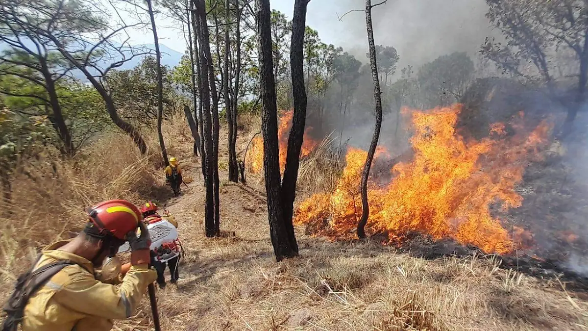 651167138_1257108113180831_8768321550434087124_n