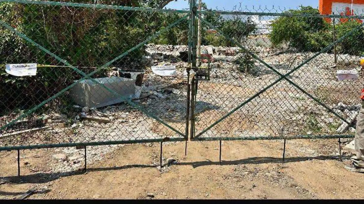 WhatsApp Image 2026-03-14 at 11.42.18 AM