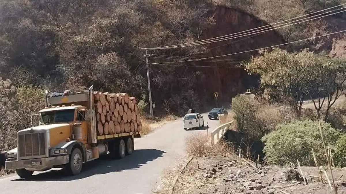 Camiones que cargan con madera