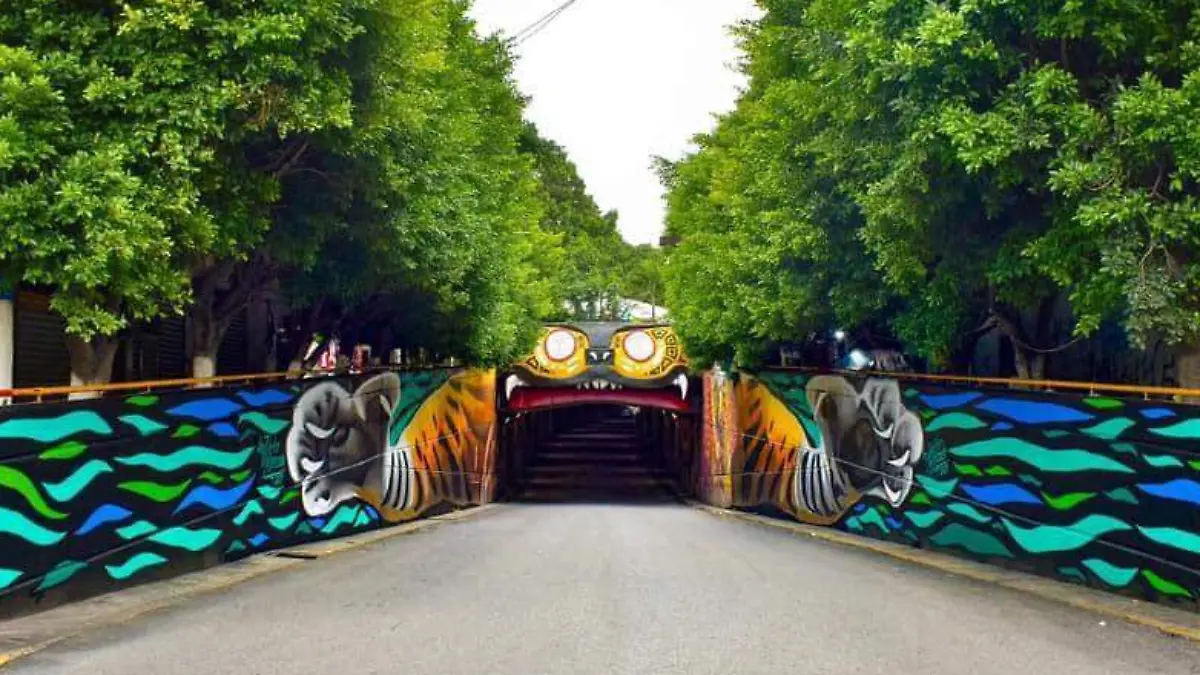 487527129_1120081226832852_387389881246371607_n