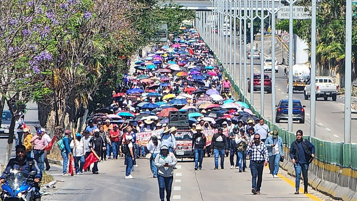 WhatsApp Image 2026-03-18 at 11.40.34 AM