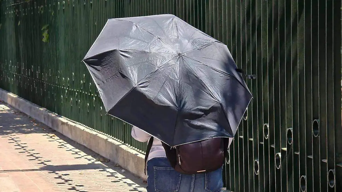 WhatsApp Image 2026-03-19 at 3.19.11 PM