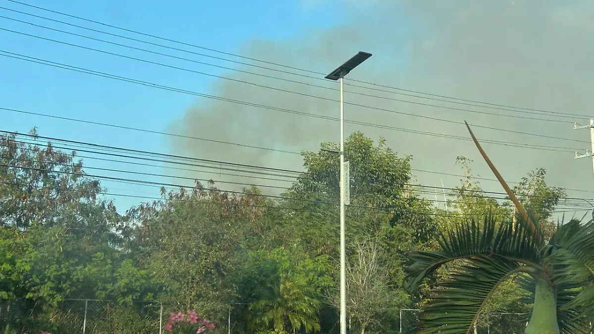 4cf1f9ec-f12a-4ecd-b8ed-9bf2c27a7cdb