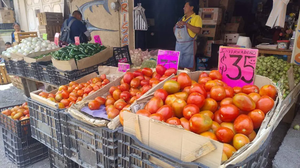 WhatsApp Image 2026-03-20 at 3.14.51 PM