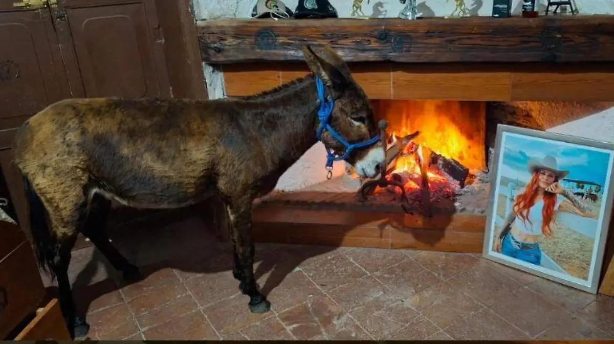 654209553_1249695130685155_8994675558036822529_n