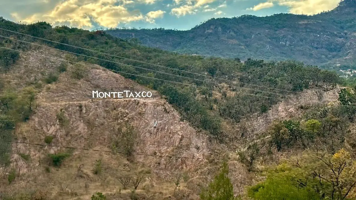 WhatsApp Image 2026-03-21 at 9.30.17 PM