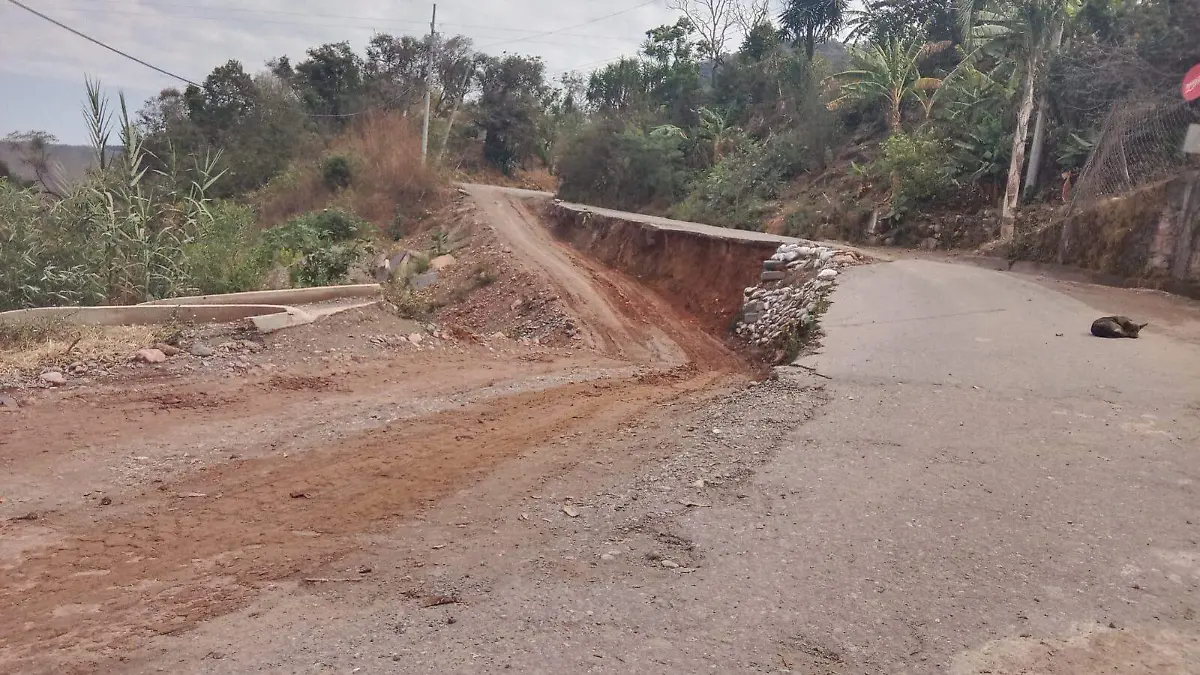 WhatsApp Image 2026-03-21 at 1.34.21 PM