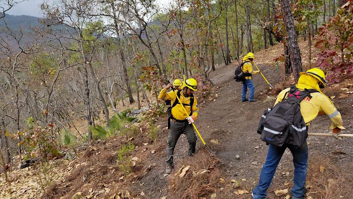 WhatsApp Image 2026-03-22 at 11.30.31 AM (1)