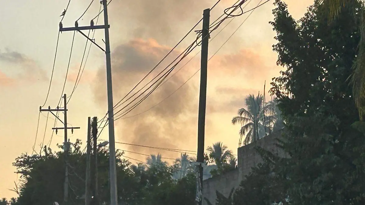 WhatsApp Image 2026-03-23 at 2.17.08 PM