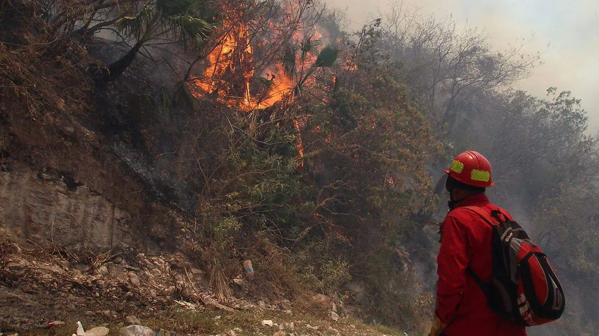 467504344_10232684883840427_3700052892229546945_n (1)