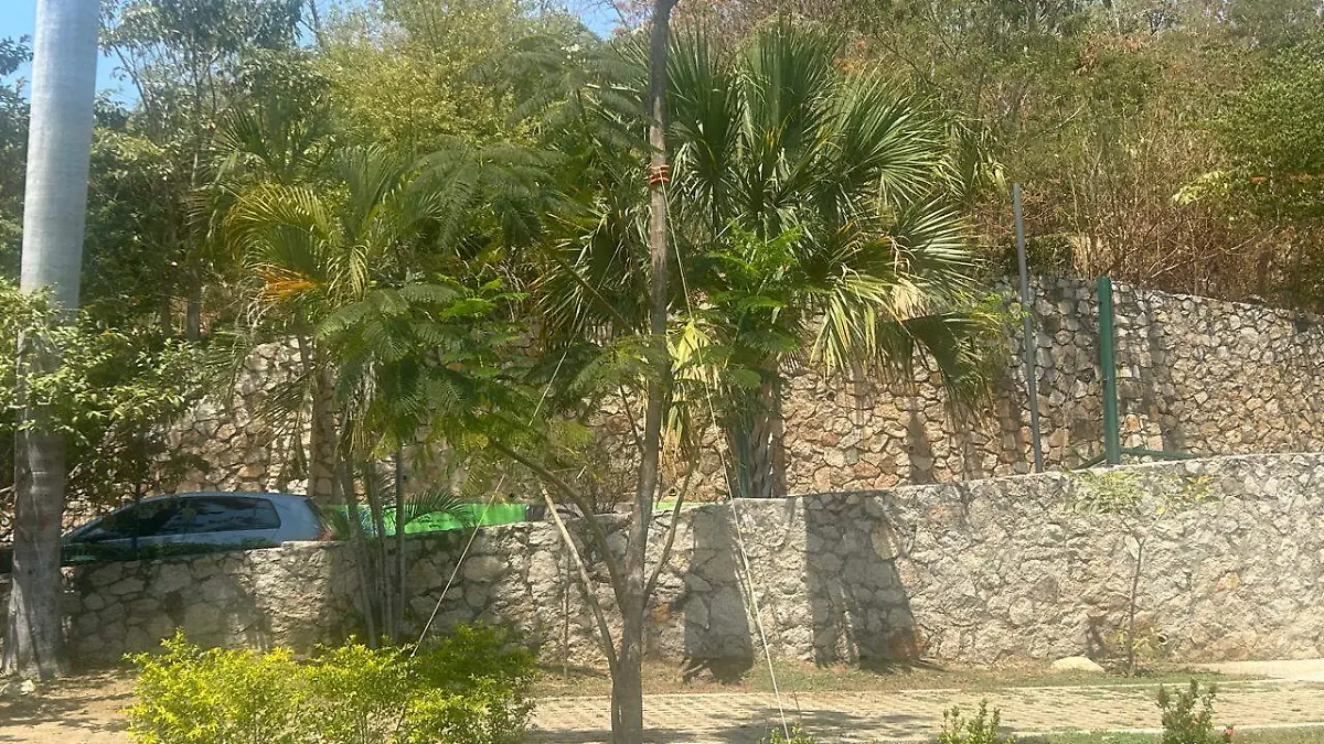 WhatsApp Image 2026-03-25 at 3.51.01 PM