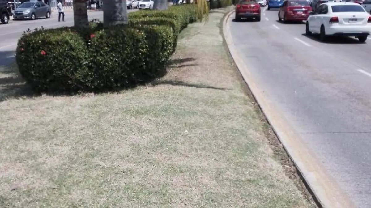 873d23b6-dd9d-4104-99c8-cf71a8a207b3