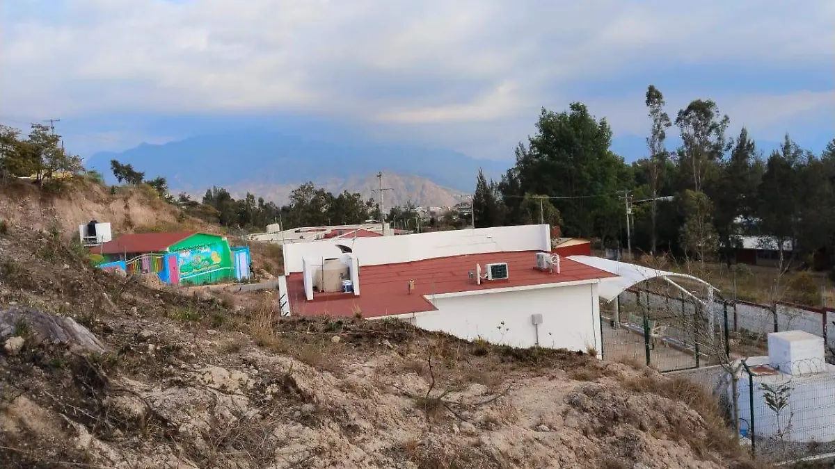 WhatsApp Image 2026-03-27 at 3.13.26 PM