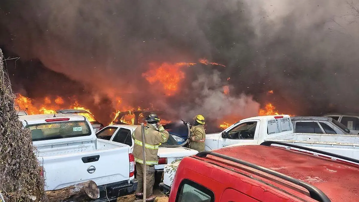 d218bbf2-9610-42ad-bf22-63df4e0795c7