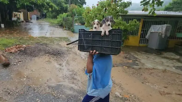 WhatsApp Image 2026-03-31 at 2.50.40 PM