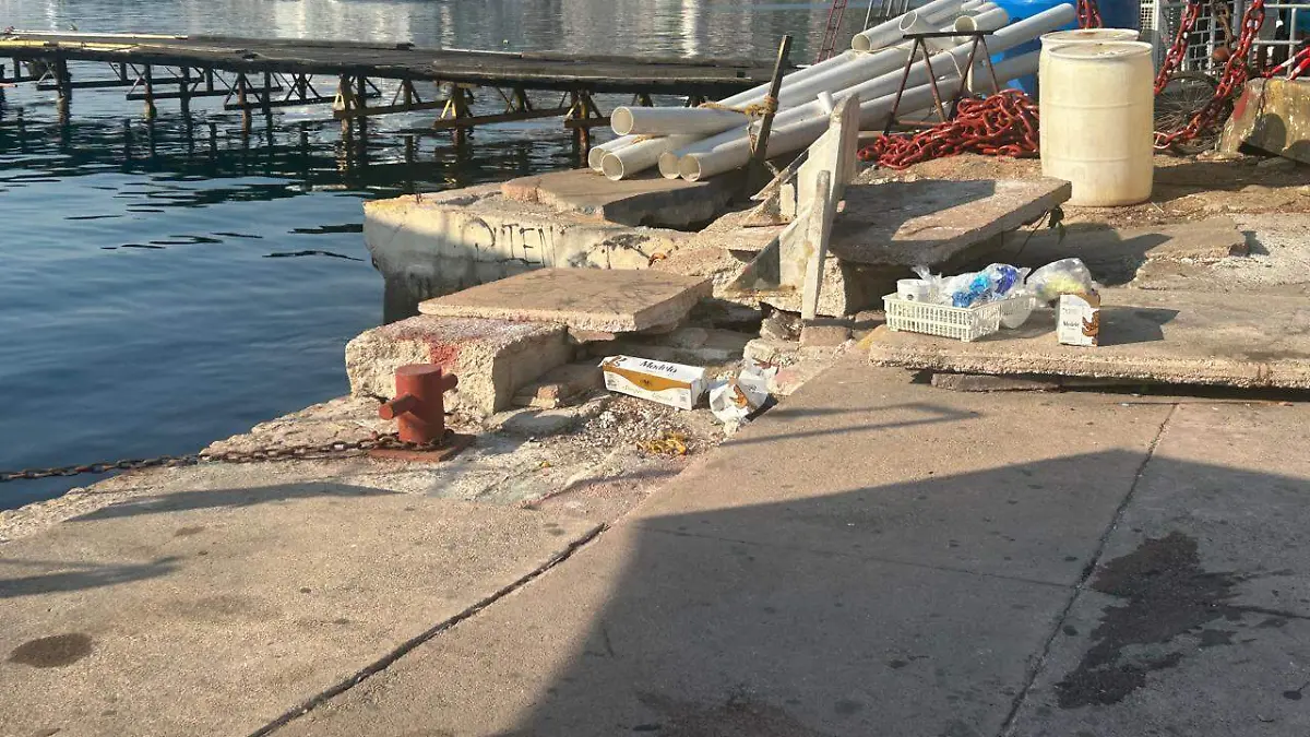 WhatsApp Image 2026-04-01 at 6.31.02 PM