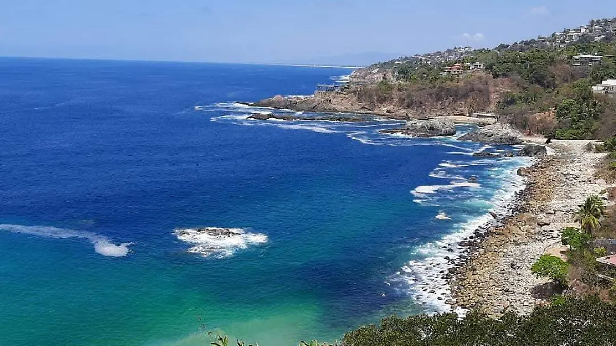 Playa - Mimosa - ACA