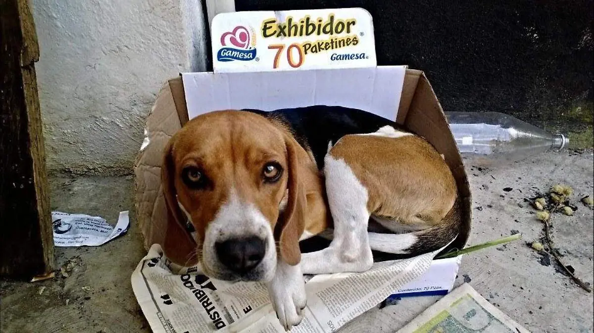 654712177_10239208166998429_3419466325511762339_n