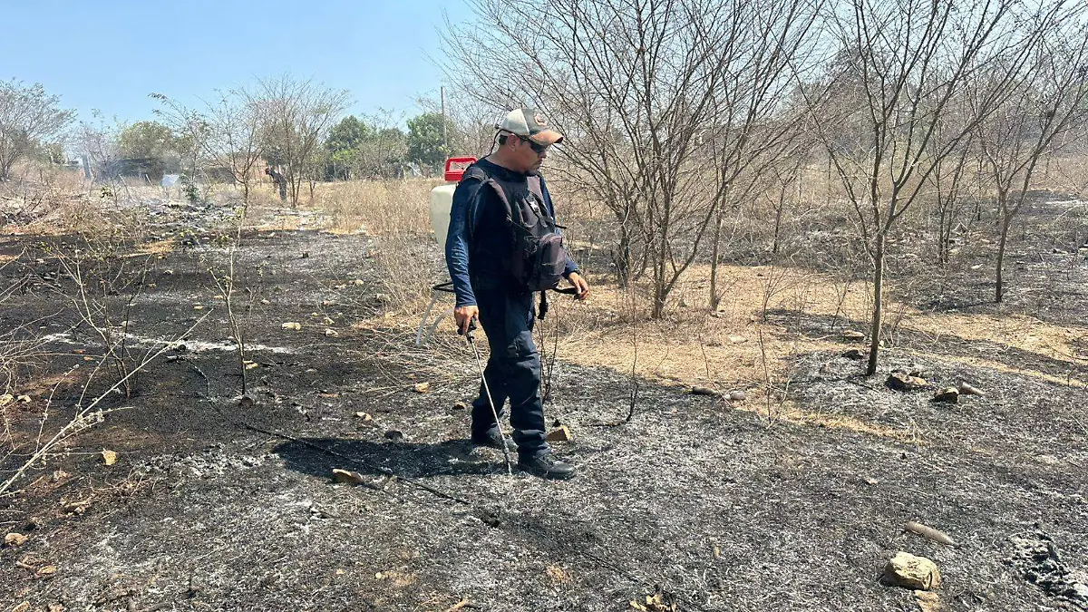 WhatsApp Image 2026-04-06 at 3.52.07 PM (1)