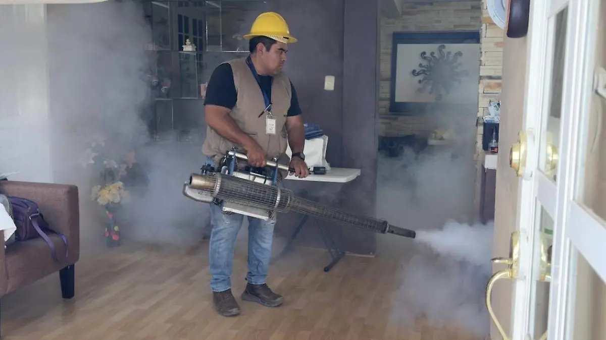 06e28e8a-2995-4013-8521-8a6879b461fb