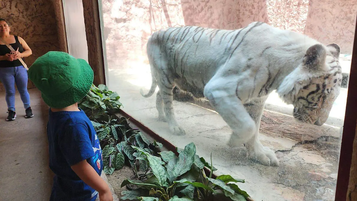 WhatsApp Image 2026-04-06 at 6.40.27 PM