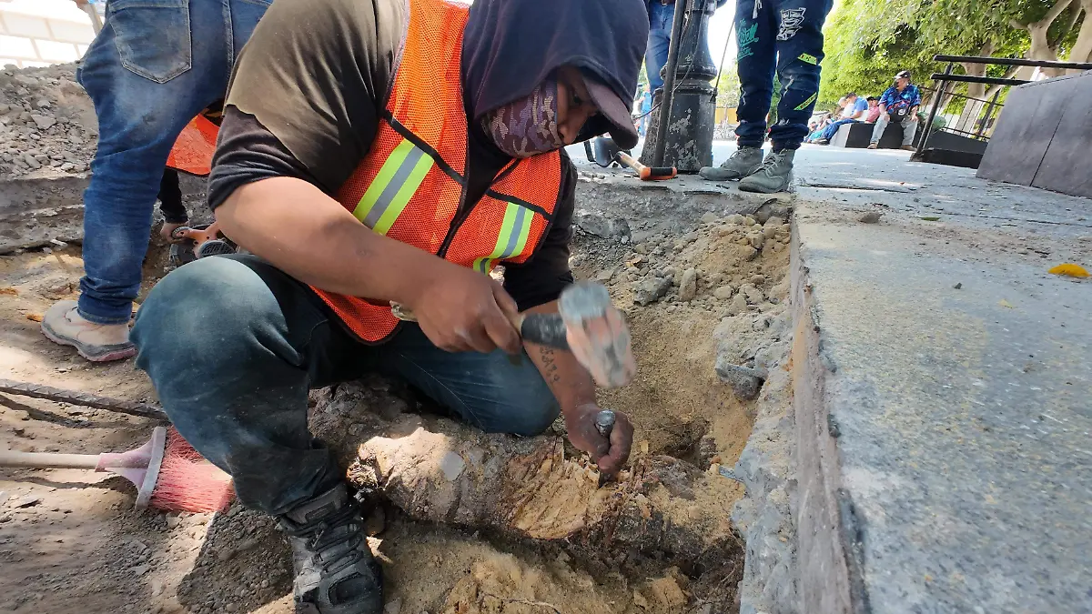 DJI_20260409124839_0263_D