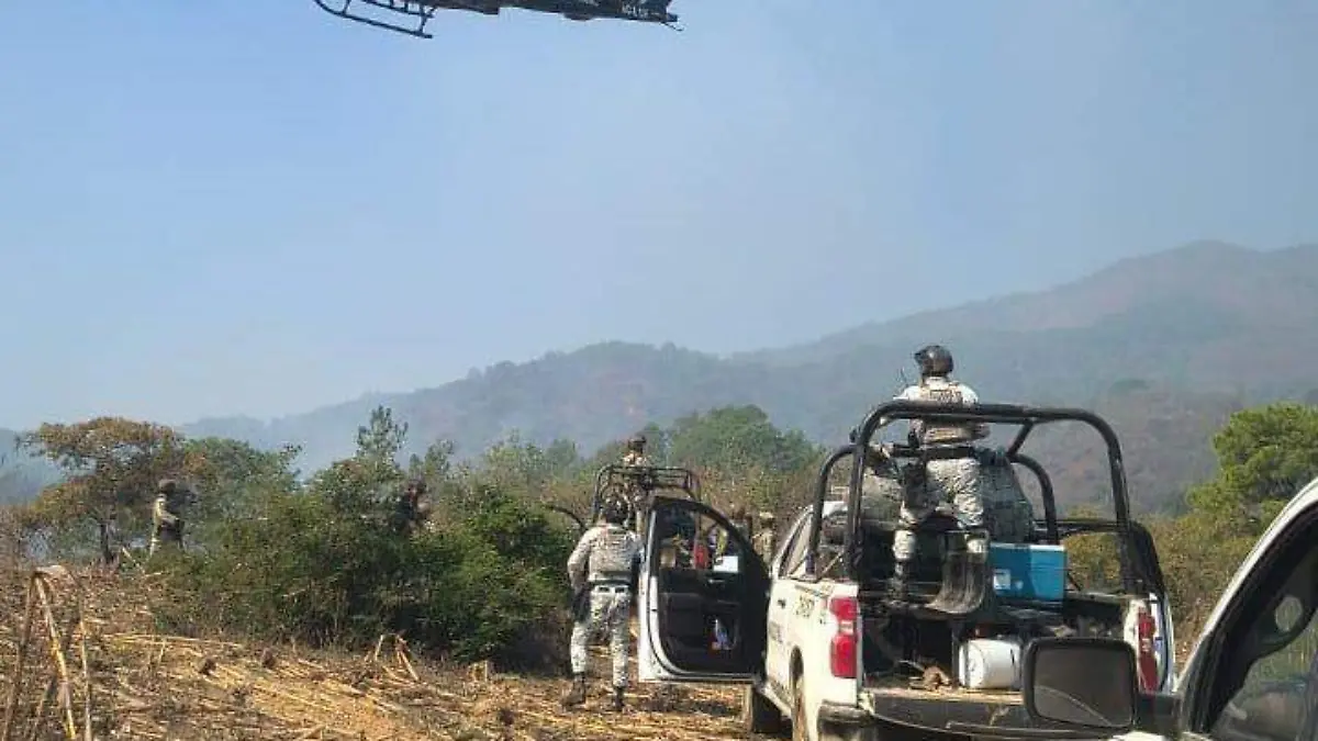 WhatsApp Image 2026-04-08 at 1.35.58 PM