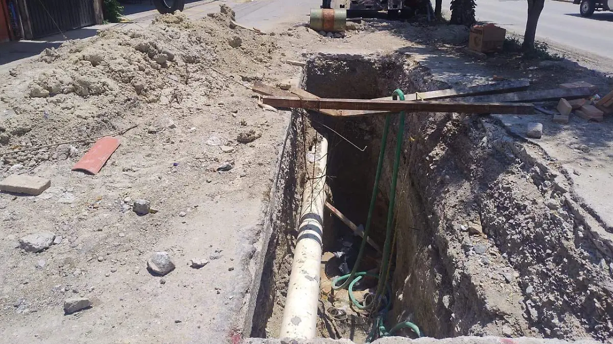 WhatsApp Image 2026-04-11 at 11.57.07 AM