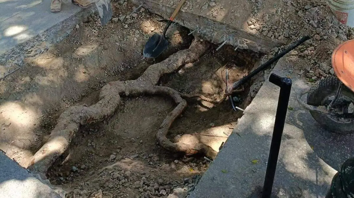 669581470_804654992702358_1233324660709349356_n