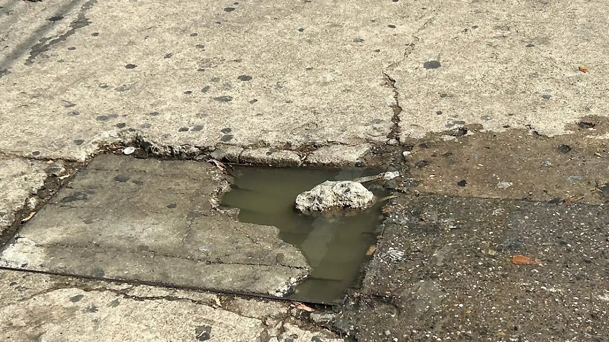 WhatsApp Image 2026-04-11 at 1.46.46 PM (1)