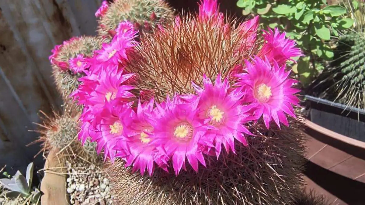 35917aff-e252-4ecd-b71c-97b8a6afb118