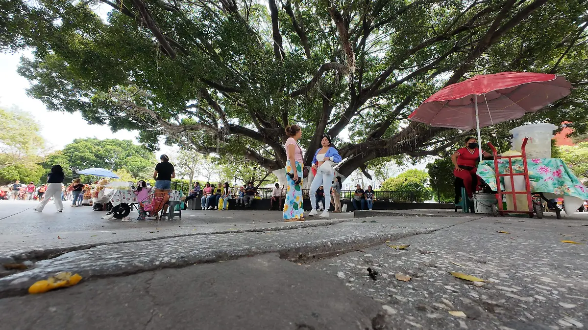 DJI_20260412141231_0247_D