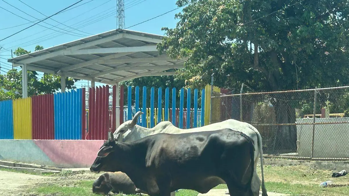 WhatsApp Image 2026-04-14 at 1.55.38 PM (1)