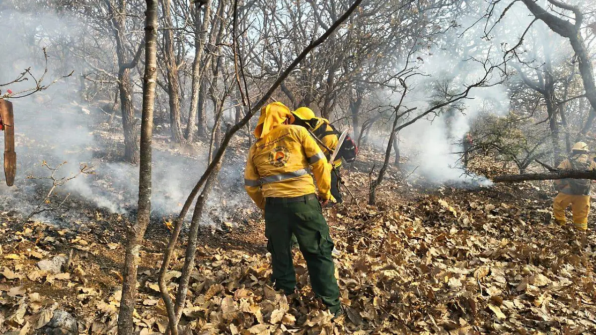 WhatsApp Image 2026-04-15 at 11.37.24 AM