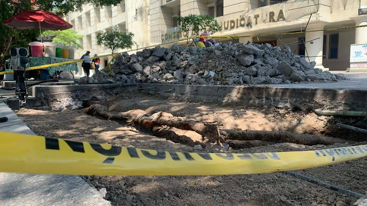 WhatsApp Image 2026-04-15 at 3.46.44 PM