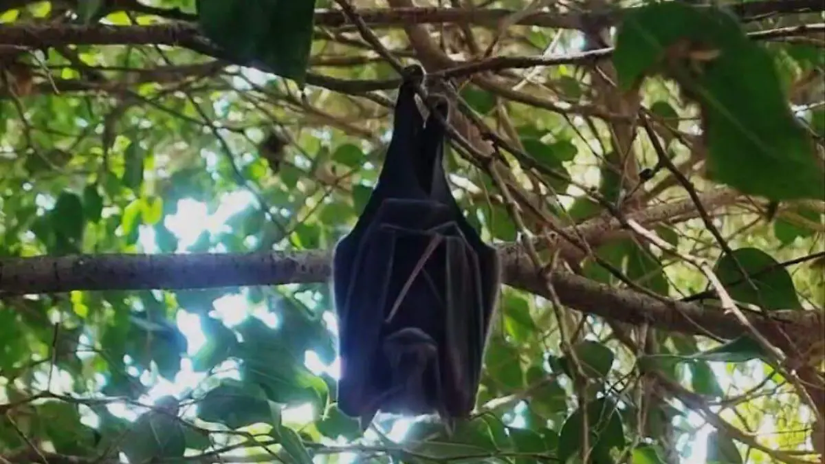 WhatsApp Image 2026-04-13 at 7.34.02 PM