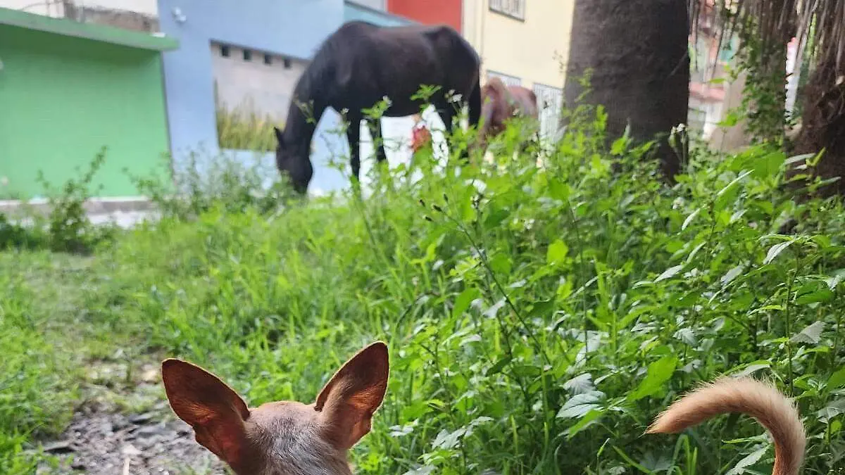 WhatsApp Image 2026-04-18 at 10.41.45 AM (1)