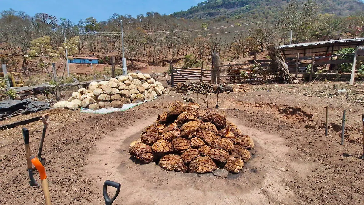 WhatsApp Image 2026-04-19 at 4.08.45 PM