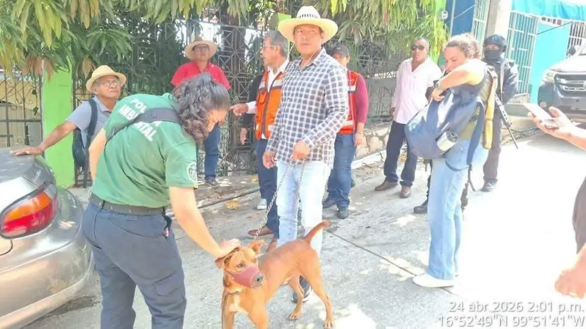 WhatsApp Image 2026-04-24 at 10.58.12 PM