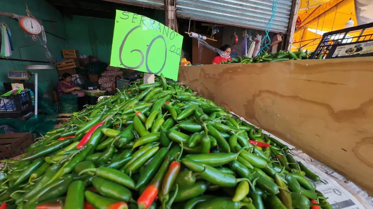 WhatsApp Image 2026-04-26 at 4.07.27 PM