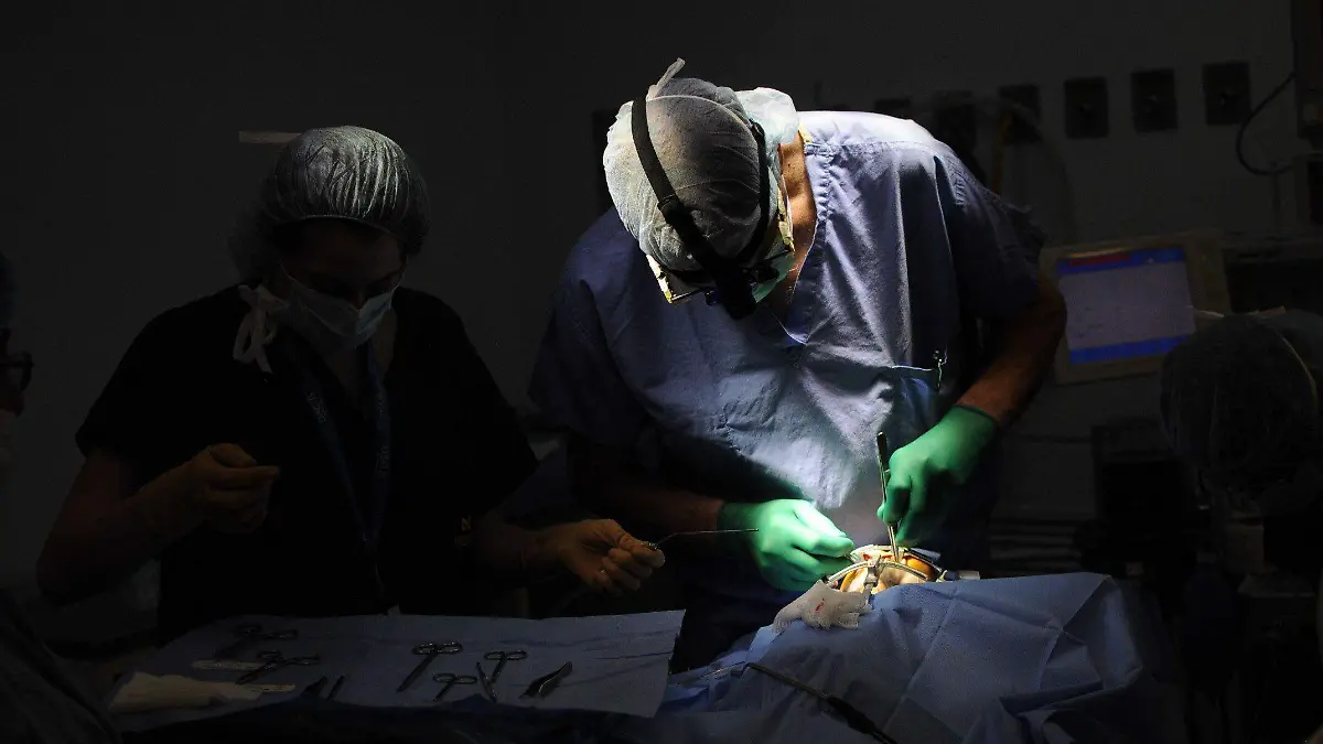 442181_Operacion Veracruz_impreso