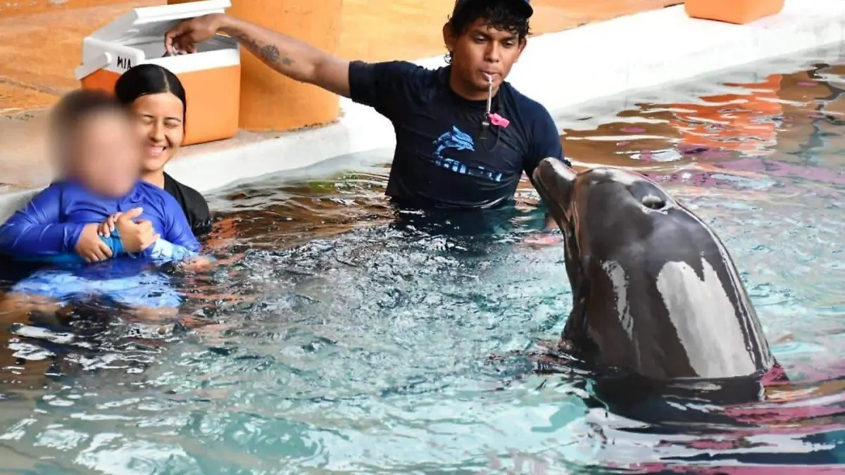 delfines-ixtapa
