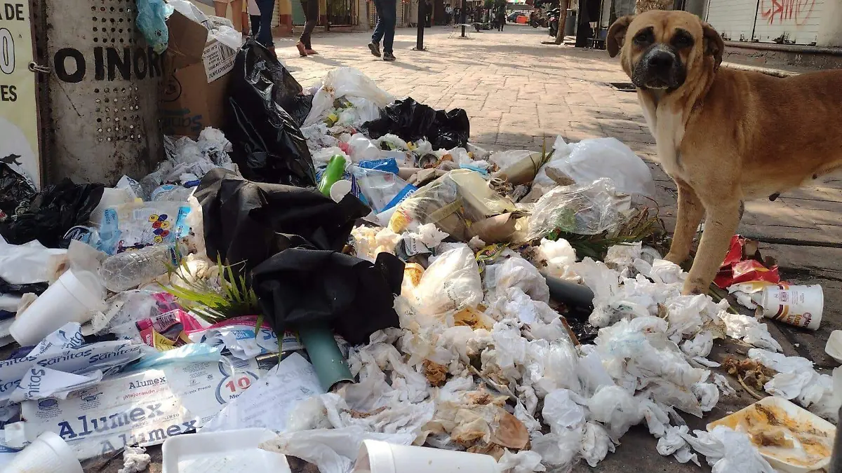 3-basura (2)