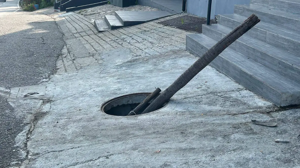 1000847254