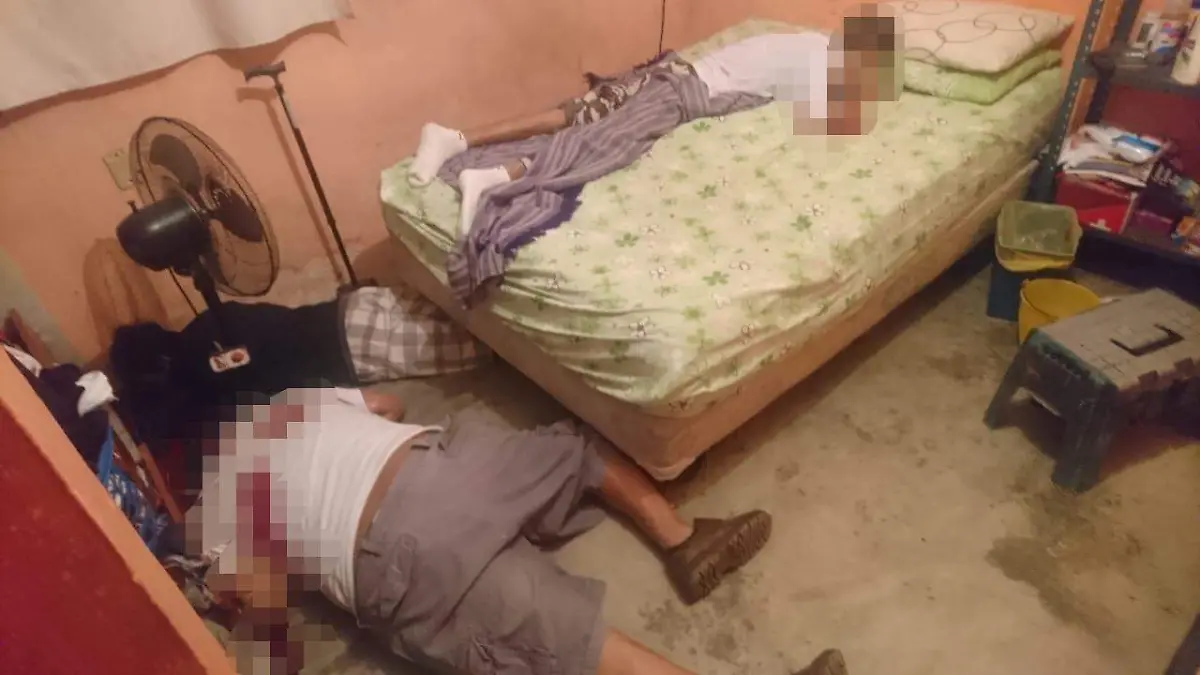 fb918807-b901-4614-87c5-10d7daa5e84f