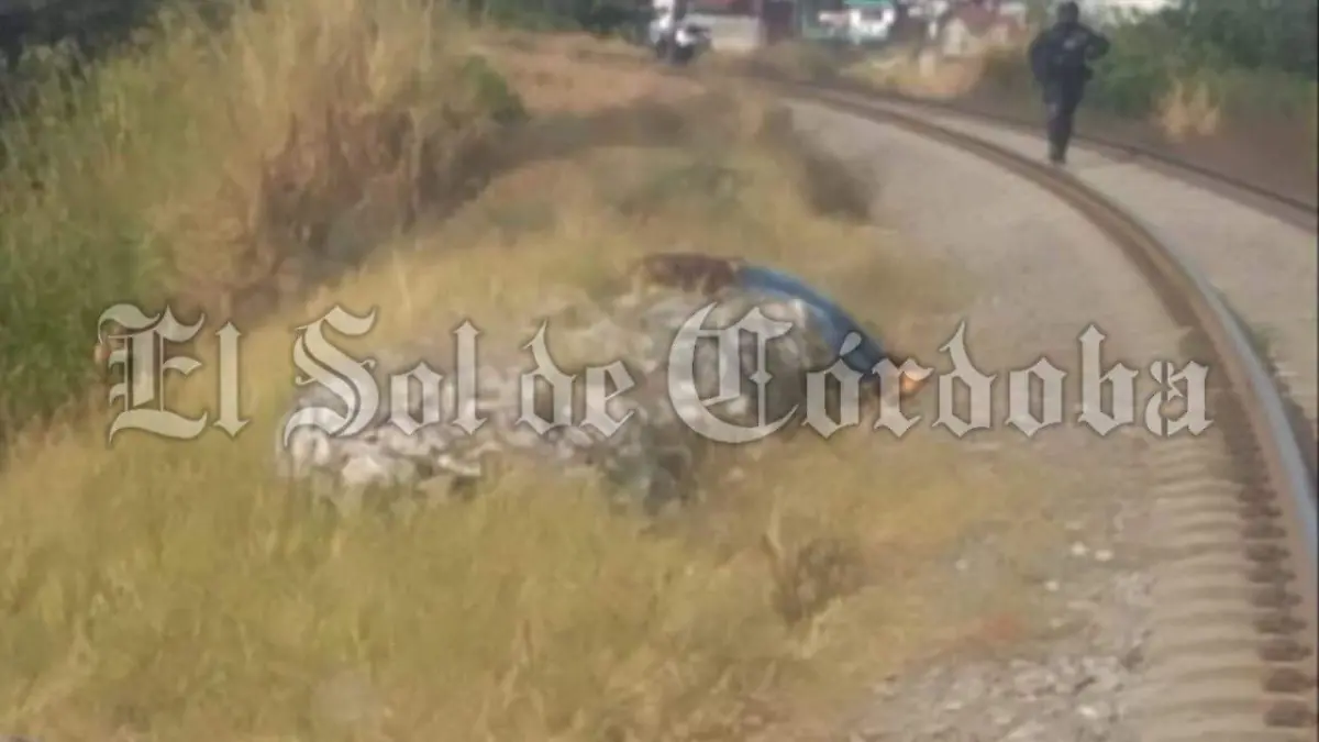 81a083c6-f5ba-4c07-a28a-d6d8fd52e169